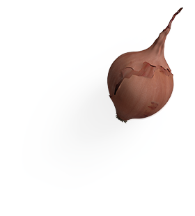 Onion 1